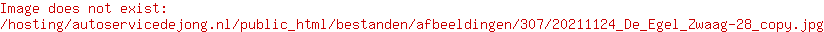 Carteam Autoservice de Jong