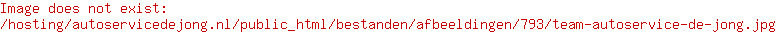 Auto onderhoud