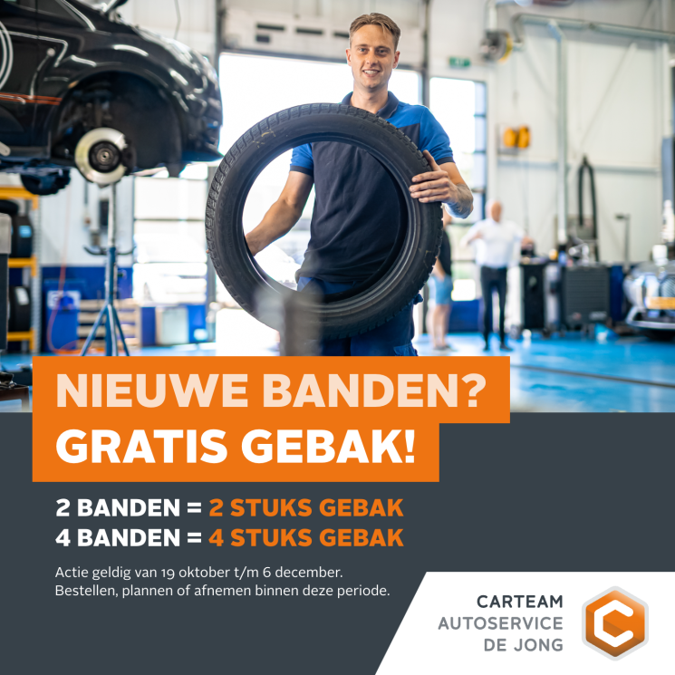 Carteam Autoservice de Jong